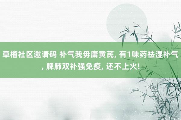 草榴社区邀请码 补气我毋庸黄芪， 有1味药祛湿补气， 脾肺双补强免疫， 还不上火!