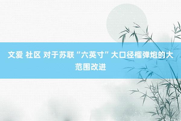 文爱 社区 对于苏联“六英寸”大口径榴弹炮的大范围改进