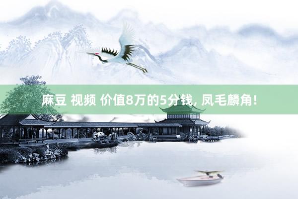 麻豆 视频 价值8万的5分钱， 凤毛麟角!